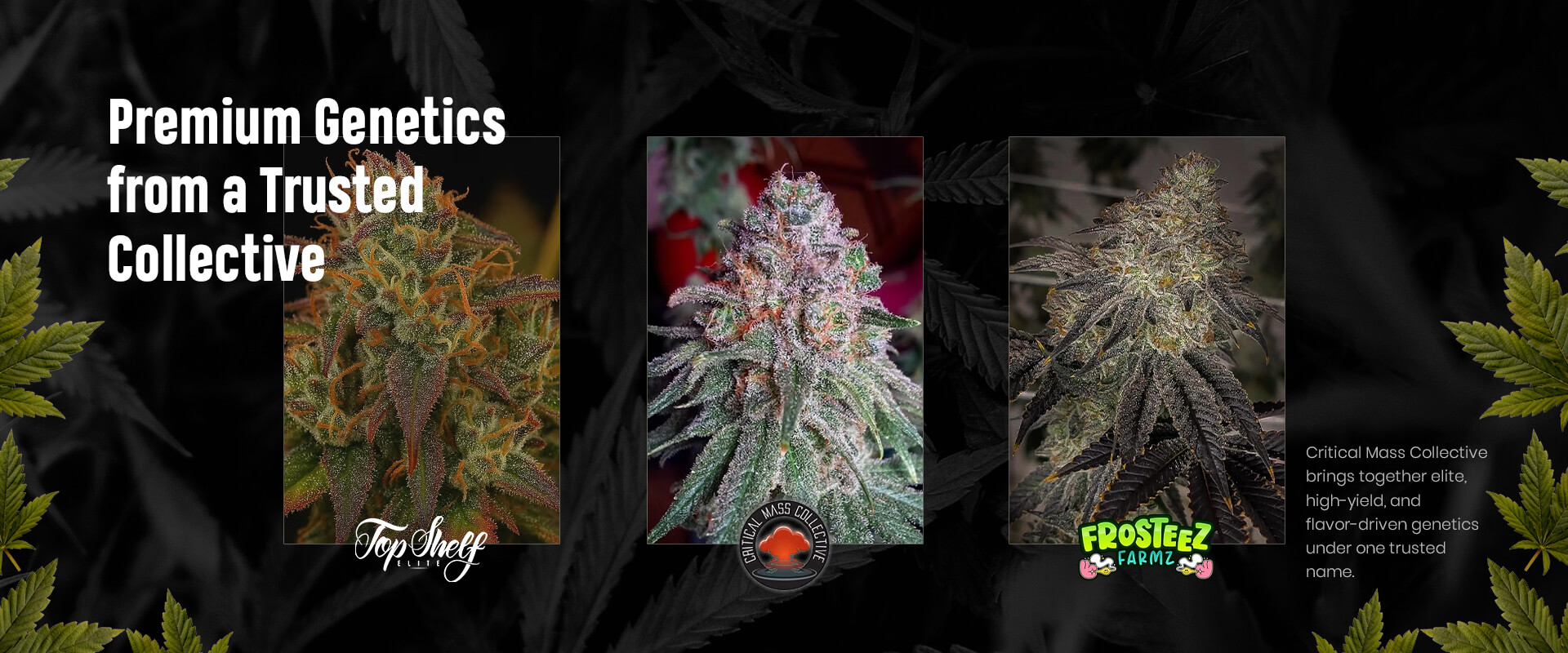 center-banner-desktop