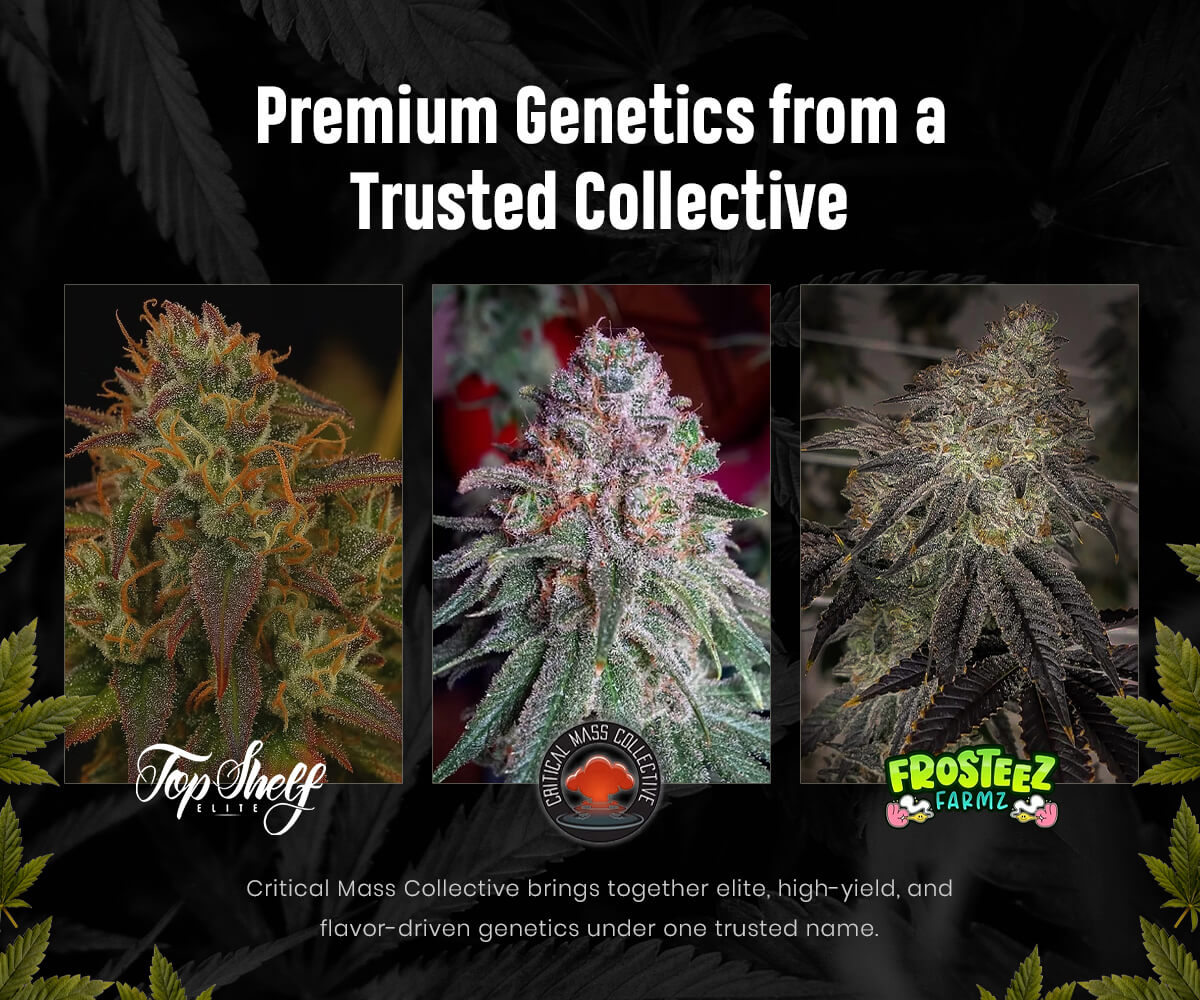 center-banner-mobile